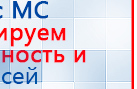 Электрод Скэнар - лицевой двойной Пешки купить в Североуральске, Электроды Скэнар купить в Североуральске, Скэнар официальный сайт - denasvertebra.ru